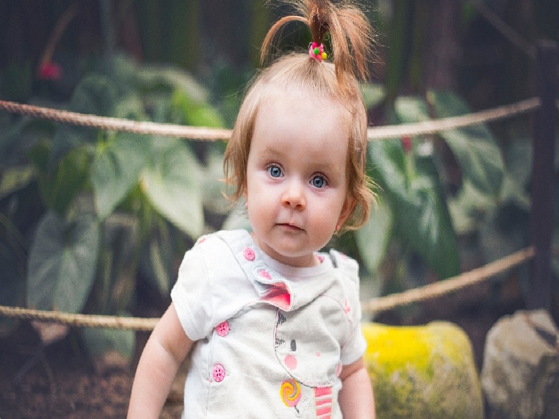 试管移植当天腹泻(试管都是女胚胎)